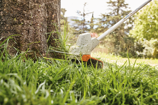 Die 5 am häufigsten vergessenen Gartenarbeiten im Frühling (die Ihnen im Sommer viel Zeit sparen)