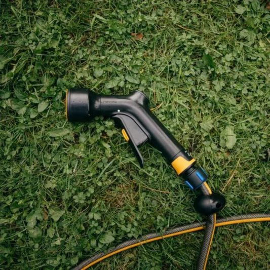 Gärtnern bei Trockenheit: So bleibt Ihr Garten gesund