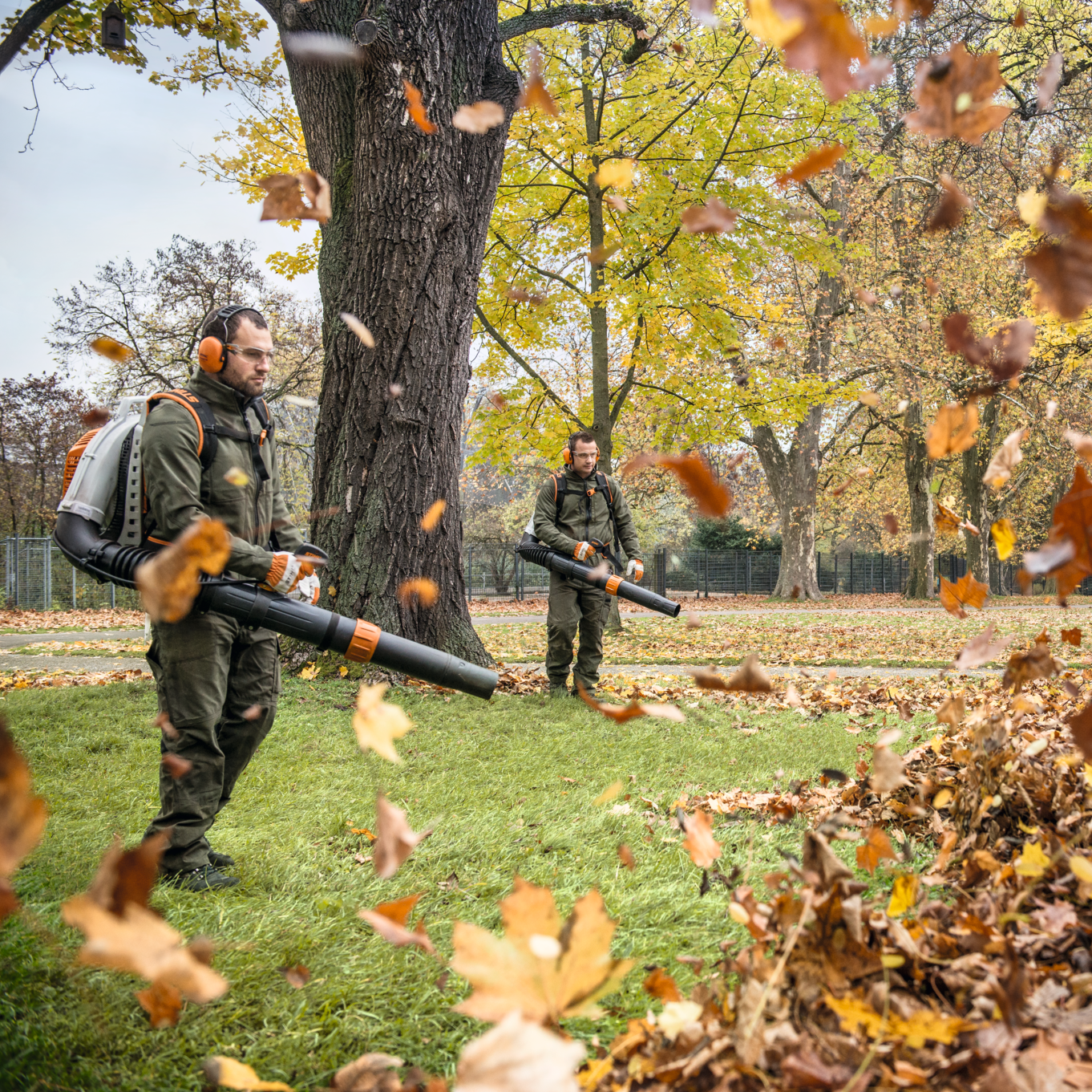 Stihl Rucktragbarer Benzin-Laubbläser BR 800 C-E - Jetzt Stihlbei kaisers.jetzt