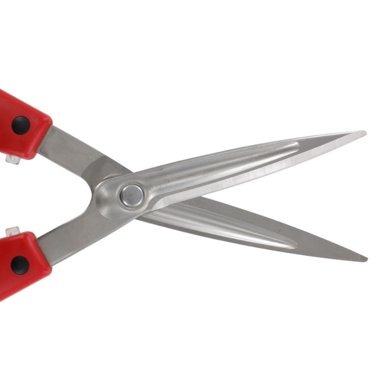ARS Buxusschere K-800