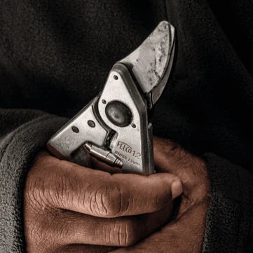 Felco 12 Astschere - Jetzt Felcobei kaisers.jetzt
