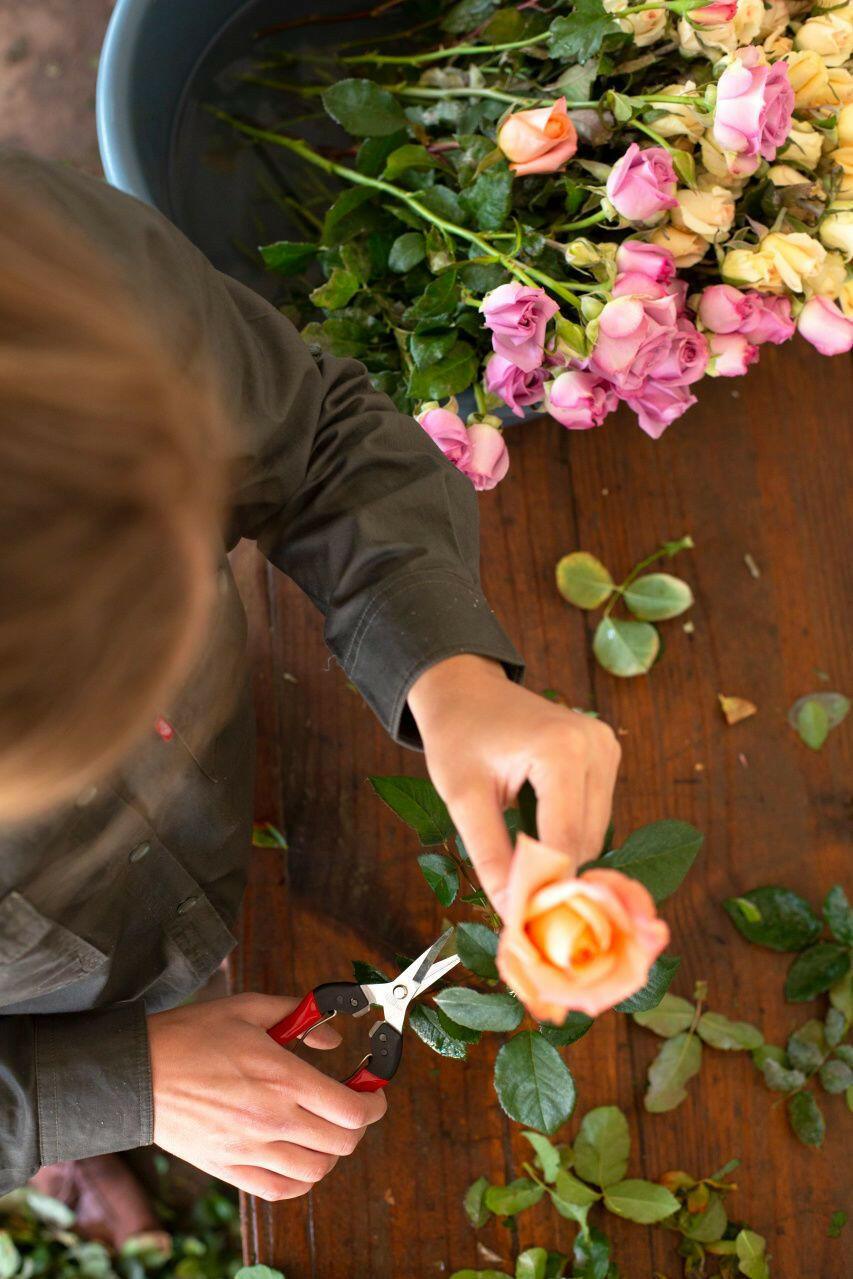 Felco 321 Ernteschere mit gerader Klinge - Jetzt Felco bei kaisers.jetzt