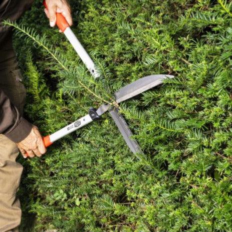 Felco Heckenschere 250-63 - Jetzt Felco bei kaisers.jetzt