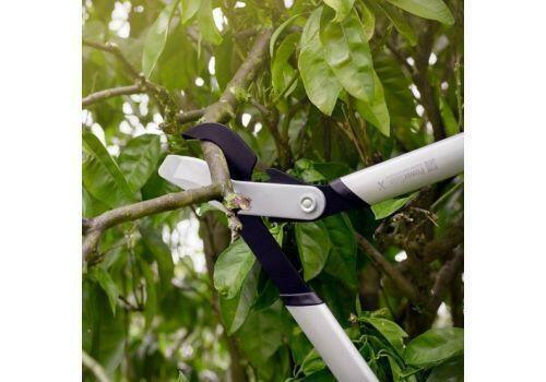 Fiskars PowerGear X bypass LX 92 Astschere - Jetzt Fiskarsbei kaisers.jetzt
