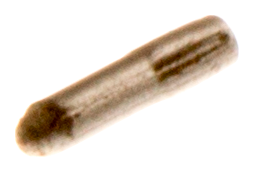 KERBSTIFT
