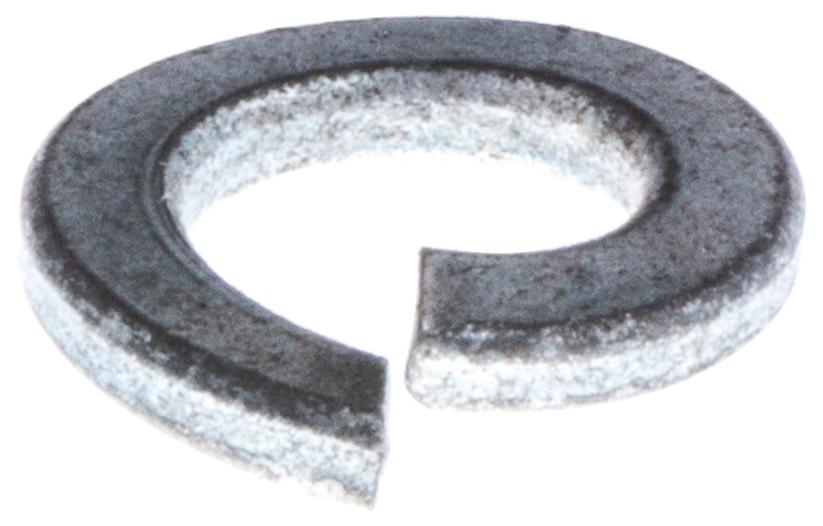 SCHEIBE