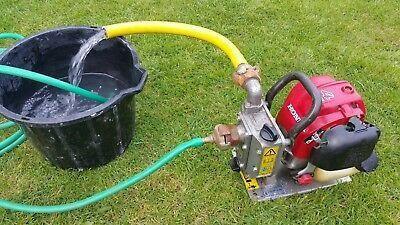 Honda Wasserpumpe WX 10 T - Jetzt Honda bei kaisers.jetzt