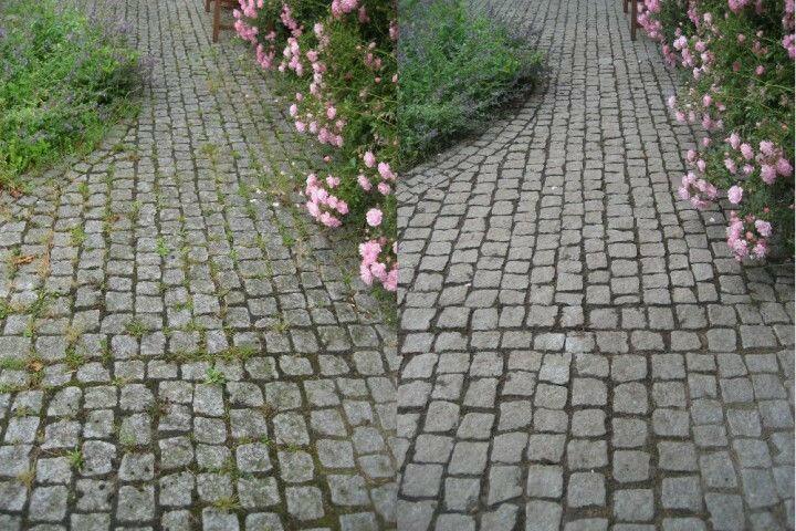 Kwern Benzin-Unkrautbürstenmaschine Greenbuster Vorher/Nachher