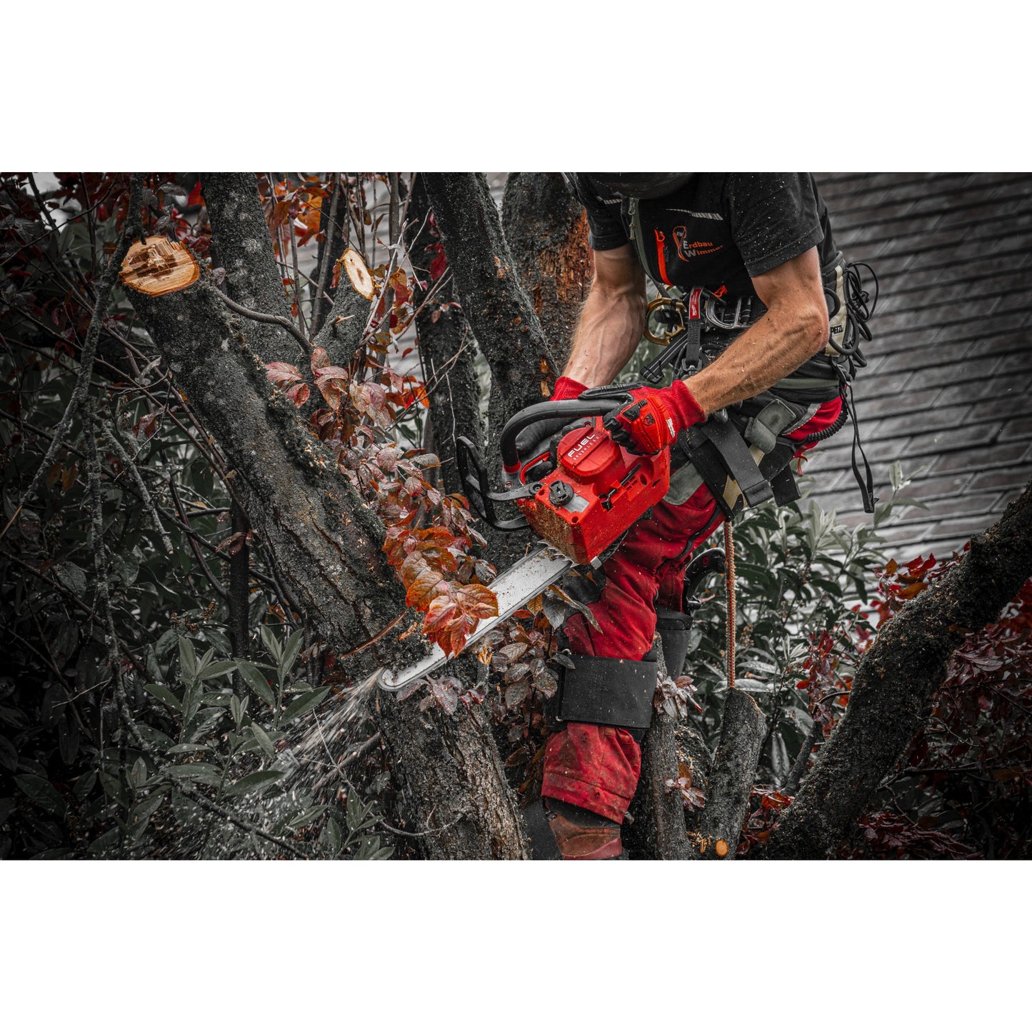 Milwaukee Akku-Kettensäge mit Obergriff M18™ FUEL™ - 35 cm in Aktion 3