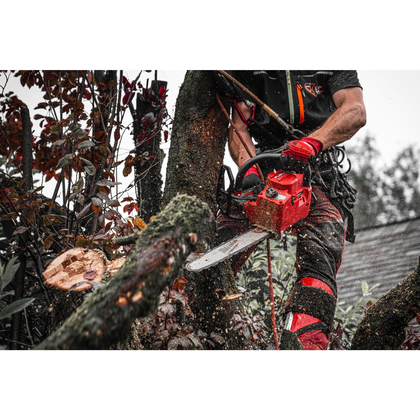 Milwaukee Akku-Kettensäge mit Obergriff M18™ FUEL™ - 35 cm in Aktion 4