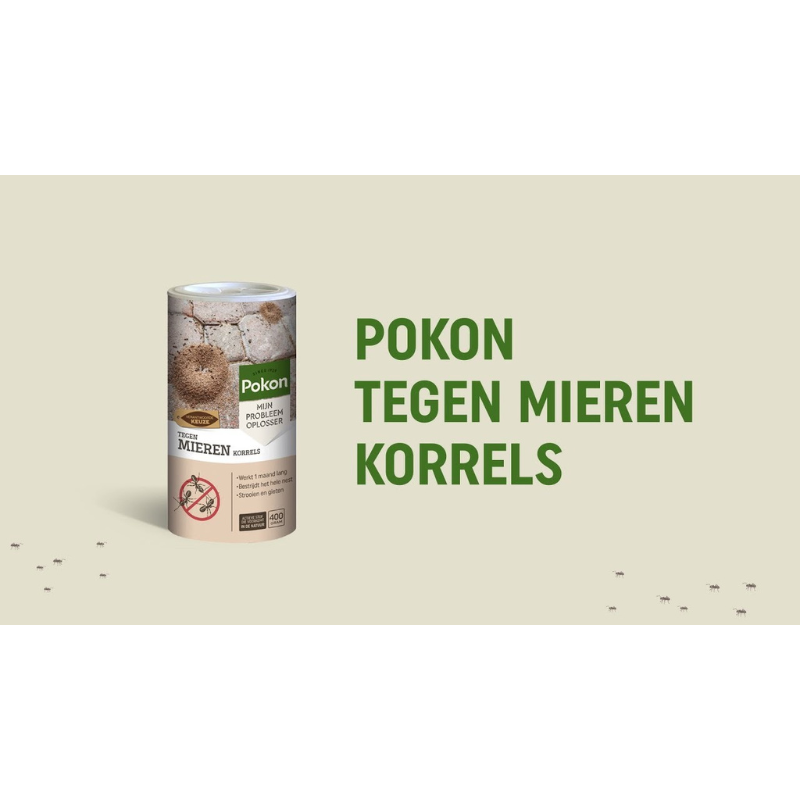 Pokon Gegen Ameisen – Granulat - 250 g