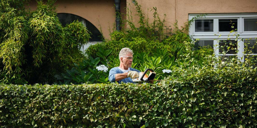 Stihl Akku-Heckenschere HSA 45.0 - Inkl. Akku & Ladegerät - Jetzt Stihl bei kaisers.jetzt