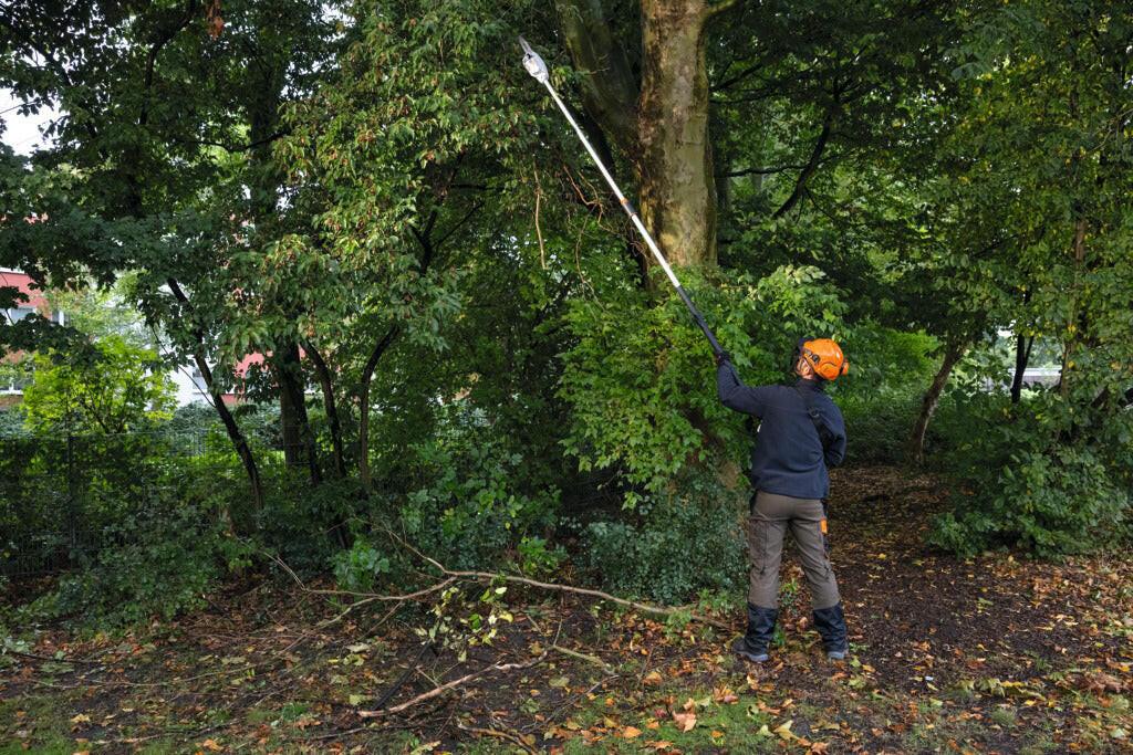 Stihl Akku-Hochentaster HTA 86 Einzelgerat - Jetzt Stihl bei kaisers.jetzt