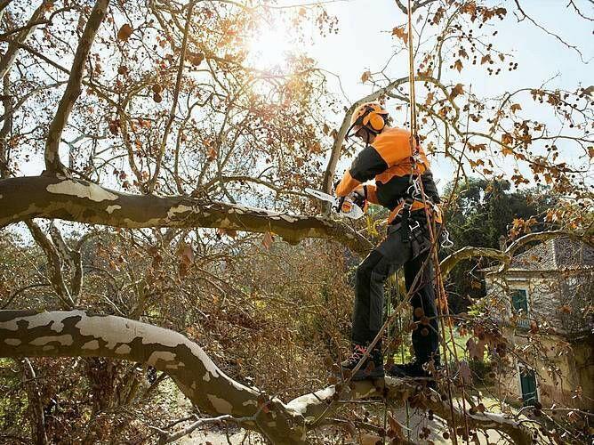 Stihl Benzin-Kettensäge MS 151 TC-E - Jetzt Stihlbei kaisers.jetzt