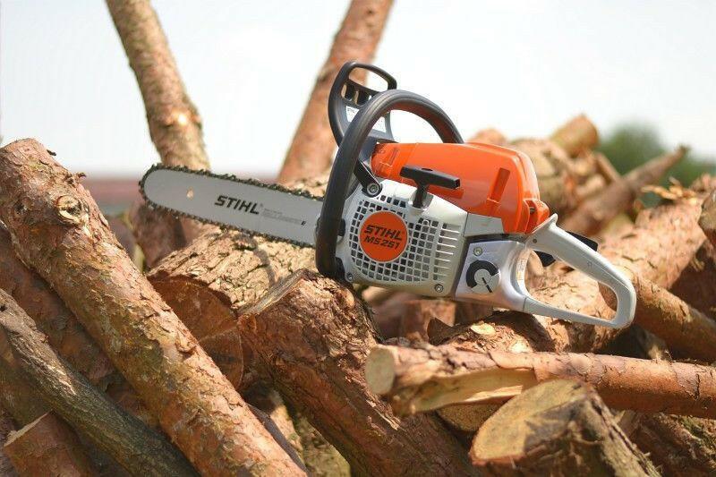 Stihl Benzin-Kettensäge MS 251 - Jetzt Stihlbei kaisers.jetzt