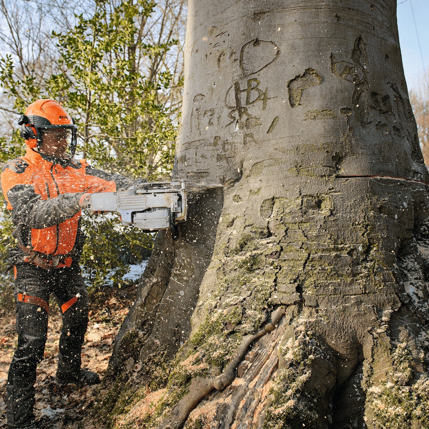 Stihl Benzin-Kettensäge MS 661 C-M W - Jetzt Stihl bei kaisers.jetzt