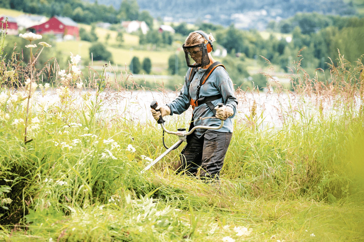 Stihl FS 240 CE Benzin-Freischneider - Jetzt Stihl bei kaisers.jetzt