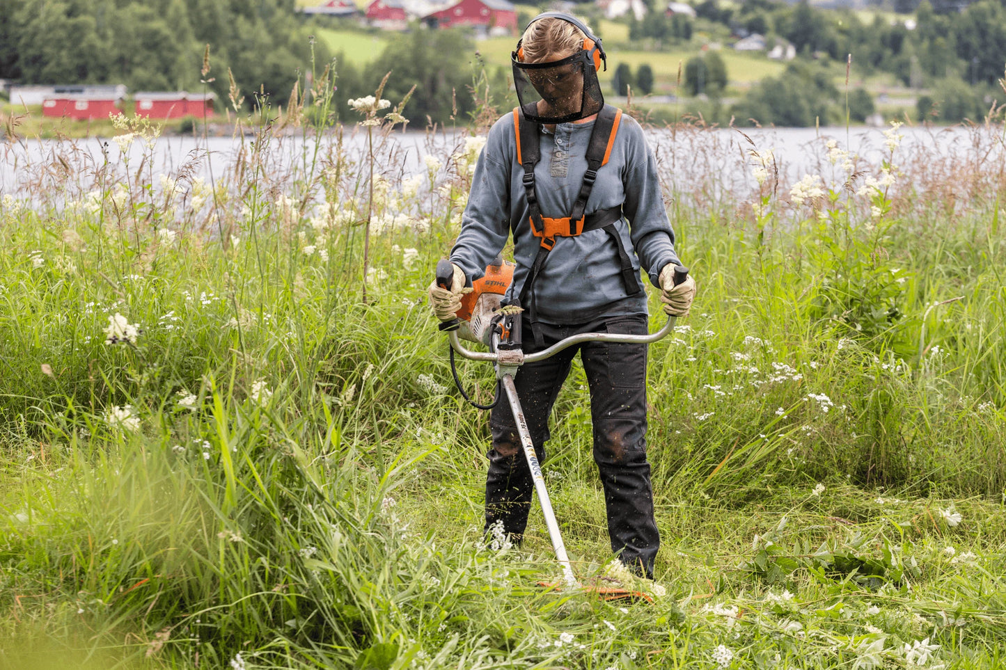 Stihl FS 240 CE Benzin-Freischneider - Jetzt Stihl bei kaisers.jetzt