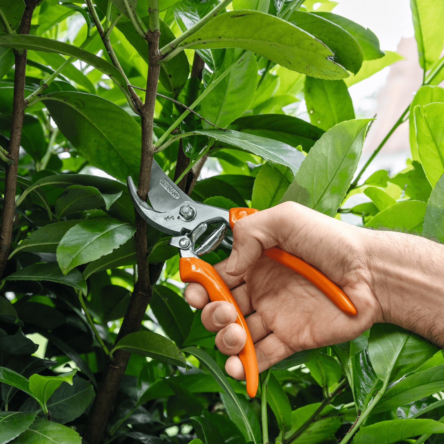 Stihl Gartenschere Bypass PG 20 - Jetzt Stihl bei kaisers.jetzt