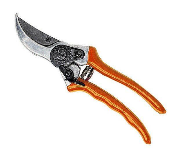 Stihl Gartenschere Bypass PG 30 - Jetzt Stihl bei kaisers.jetzt
