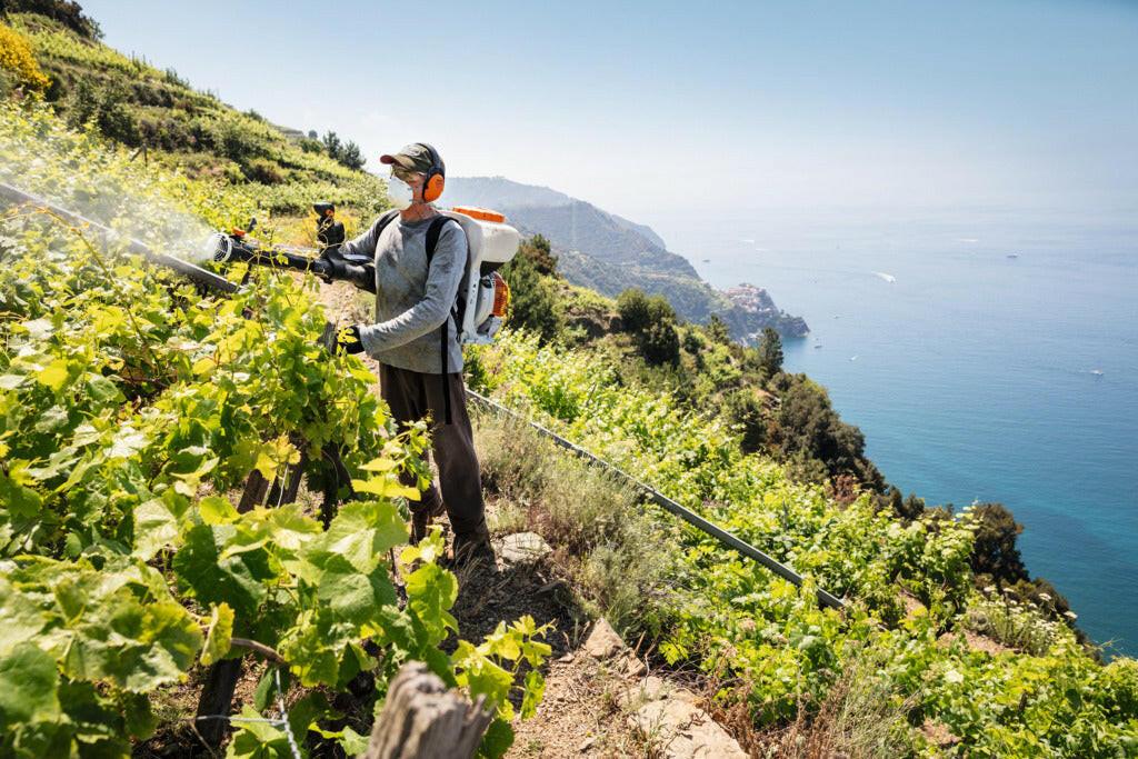 Stihl Ruckentragbares Benzin-Spruhgerat SR 200 - Jetzt Stihl bei kaisers.jetzt