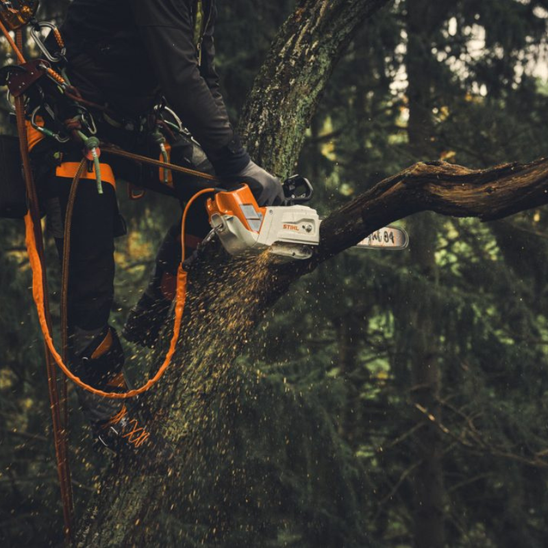 Stihl Motorsägen-Stroppadapter AP 2-in-1