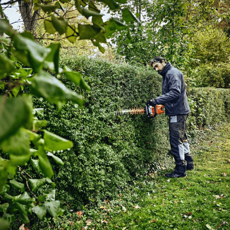 Stihl Akku-Heckenschere HSA 100.1 Einzelgerät - 60 cm in Aktion