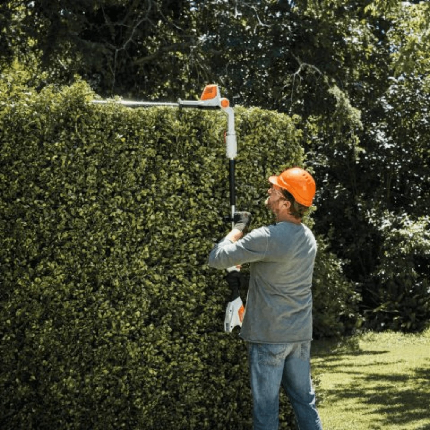 Stihl Akku-Heckenschneider HLA 56 Einzelgerät in Aktion