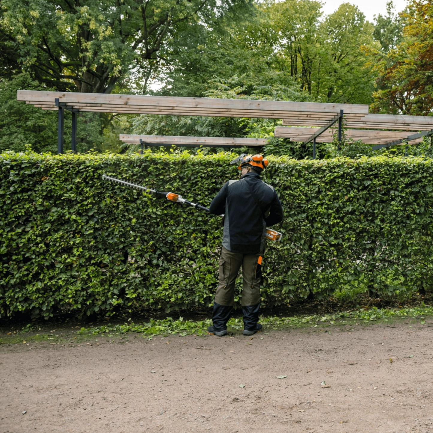 Stihl Akku-Heckenschneider HLA 66 in Aktion