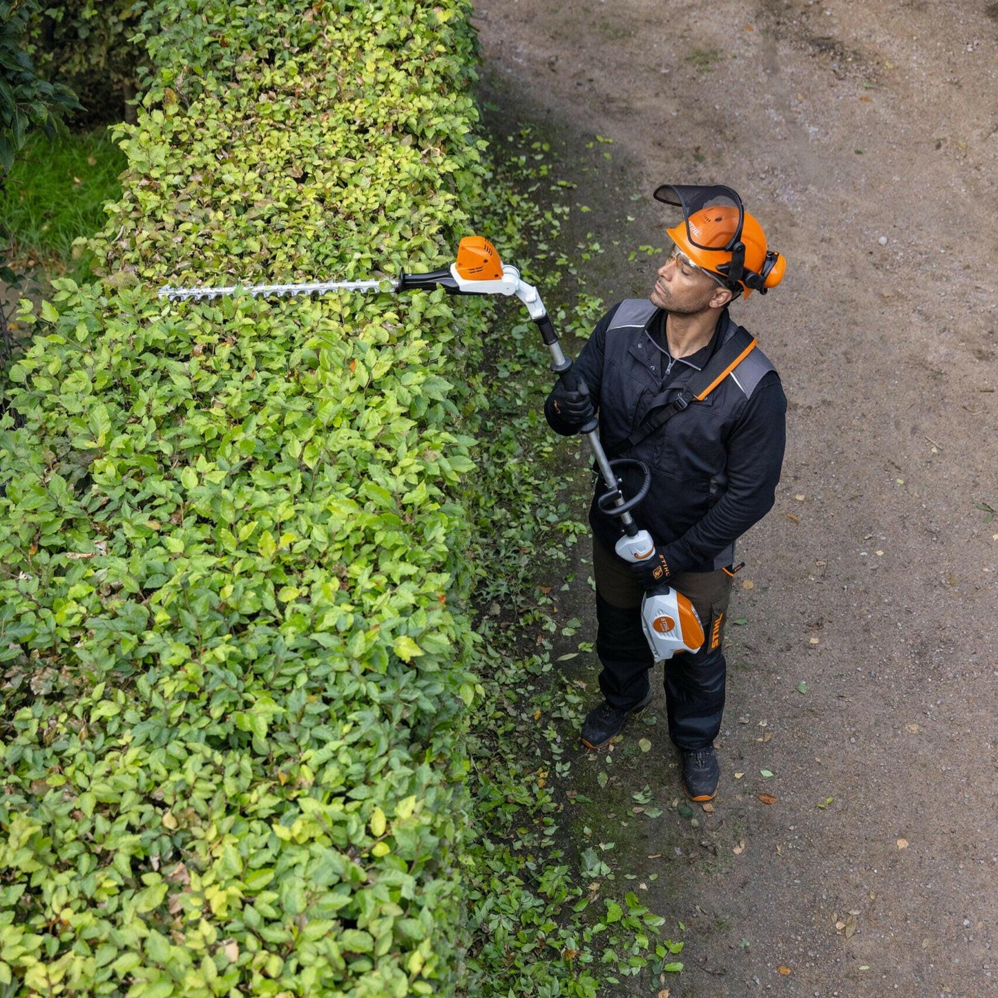 Stihl Akku-Heckenschneider HLA 66 in Aktion