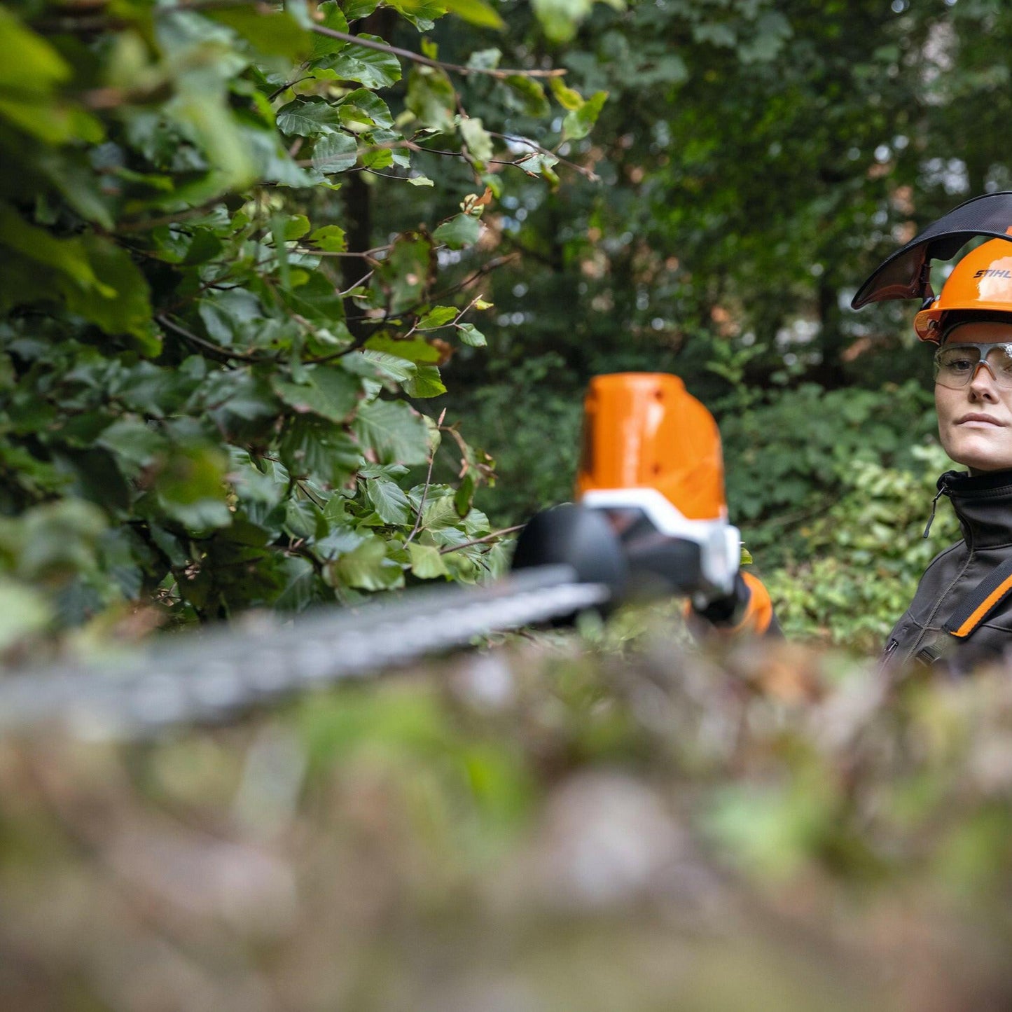 Stihl Akku-Heckenschneider HLA 86 in Aktion