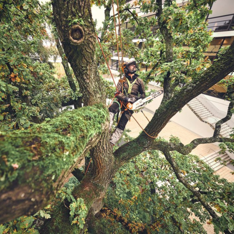 Stihl Akku-Kettensäge MSA 220.1 TC-O Einzelgerät