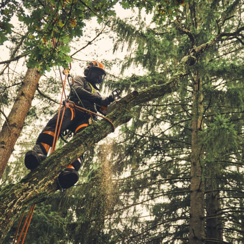 Stihl Akku-Kettensäge MSA 220.1 T Einzelgerät