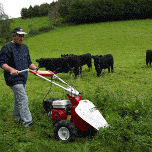 Tielburger T 60 Benzin-Balkenmaher - Jetzt Tielbürger bei kaisers.jetzt