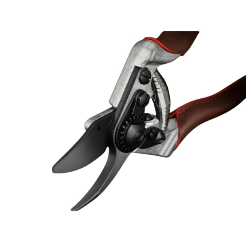 Felco 6 Elite Astschere - Jetzt Felco bei kaisers.jetzt
