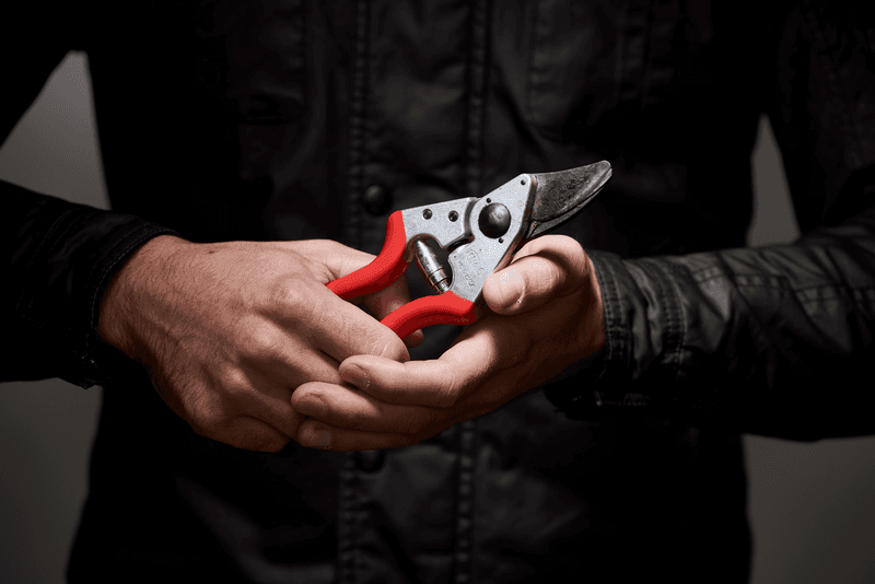 Felco 6 Astschere - Jetzt Felco bei kaisers.jetzt