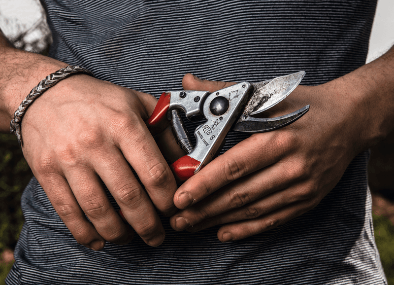Felco 8 Astschere - Jetzt Felco bei kaisers.jetzt