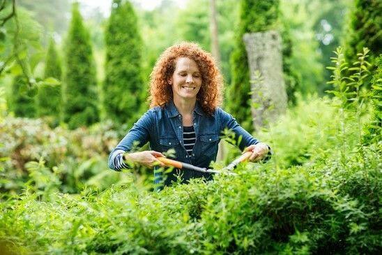 Fiskars HSX 92 PG Heckenschere - Jetzt Fiskars bei kaisers.jetzt