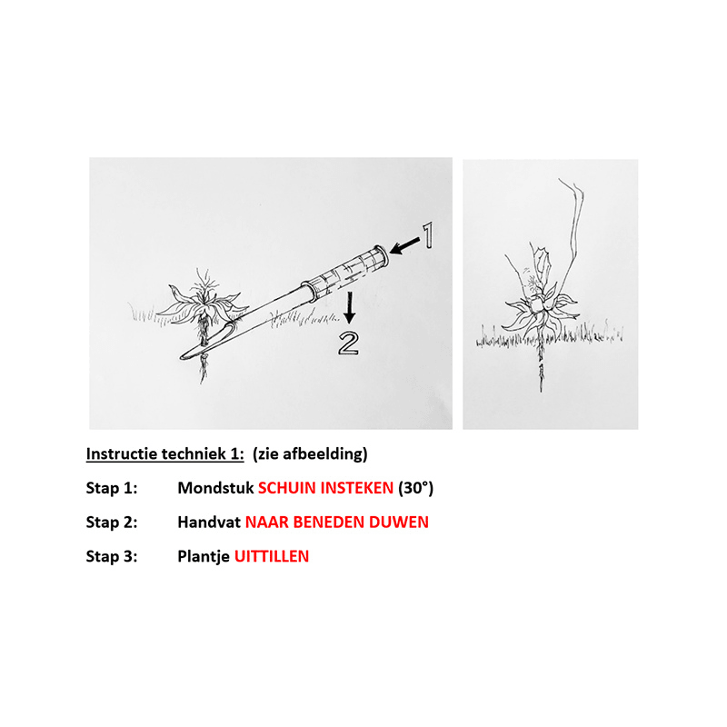 Quick & Simple Unkrautstecher - 34 cm - Jetzt Quick & Simple bei kaisers.jetzt