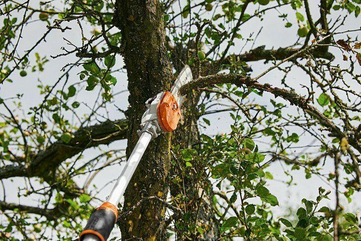 STIHL HTA 135 Akku-Hochentaster Grundgerät - 30 cm