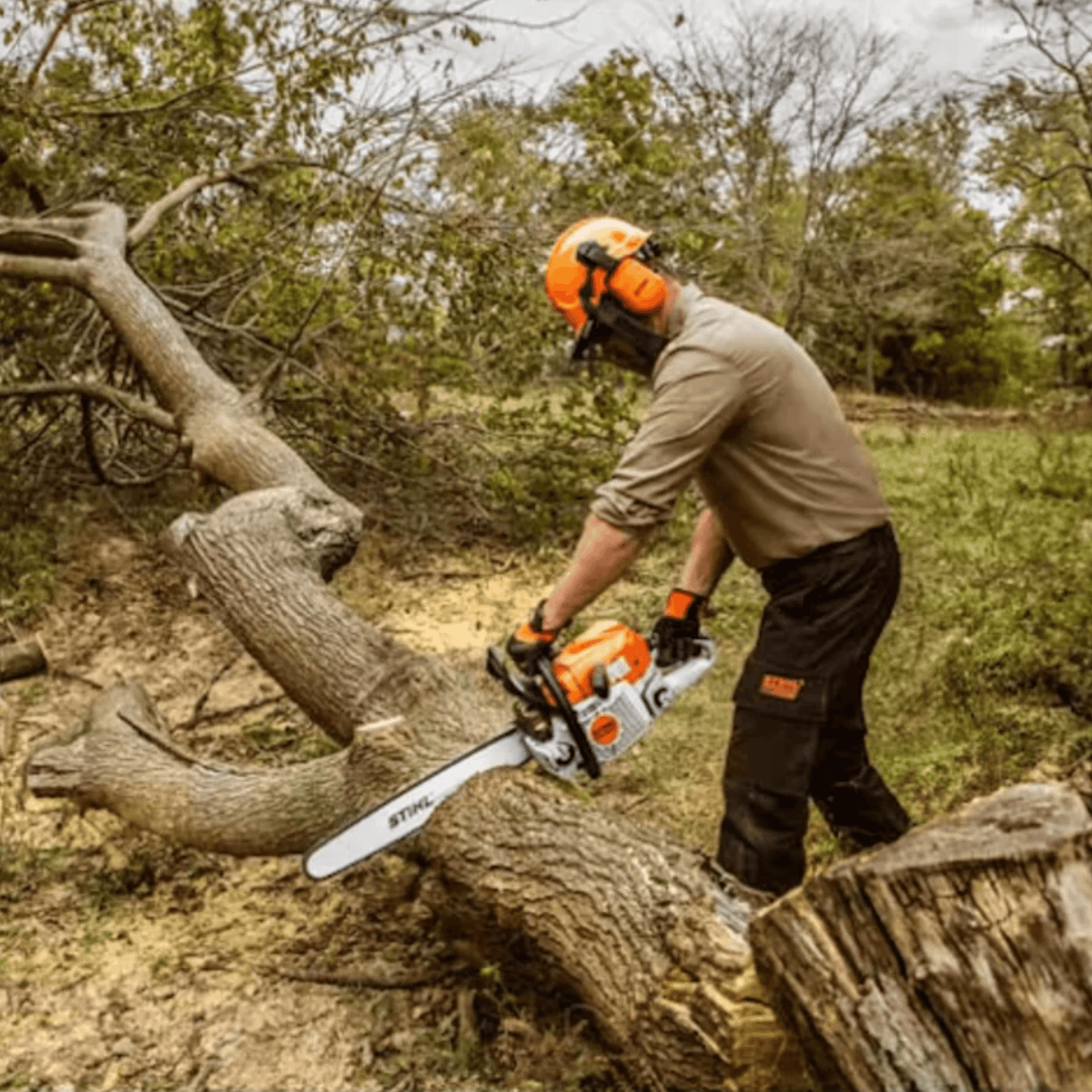 Stihl Benzin-Kettensäge MS 311 - Jetzt Stihl bei kaisers.jetzt