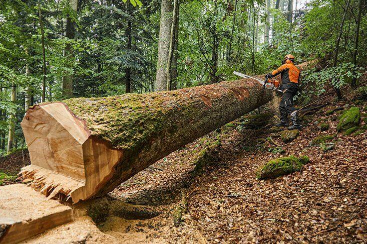Stihl MS 881 Benzin-Kettensäge - Jetzt Stihl bei kaisers.jetzt