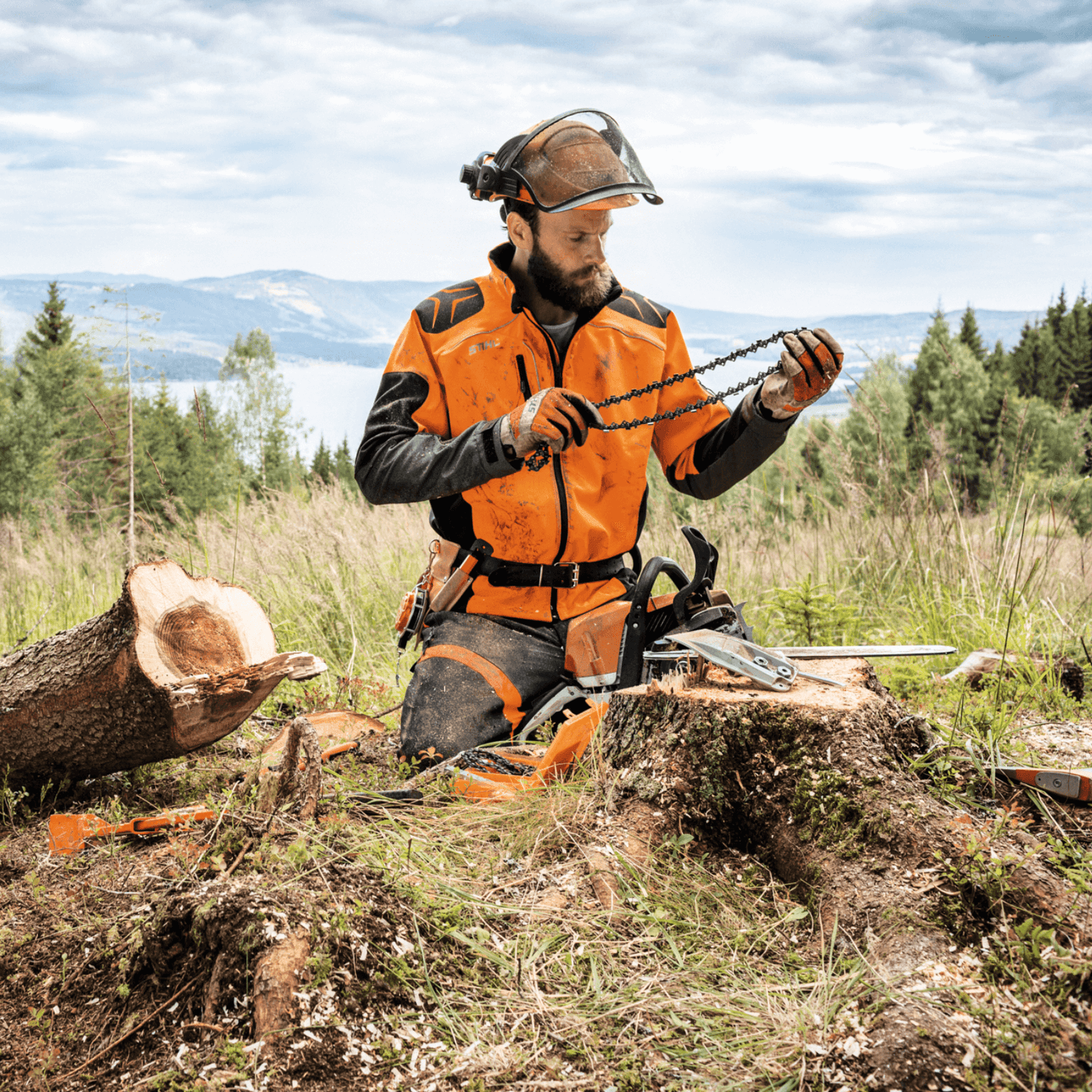 Stihl RD3 Sägekette 3/8 - 37 cm - Jetzt Stihl bei kaisers.jetzt
