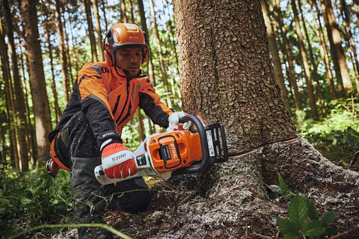 Keisers Wahl: 5 Kettensägen für den Landwirt/Grundstücksbesitzer bis zu 850 €