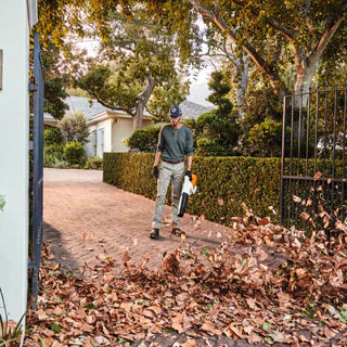 Black Friday – Laubbläser