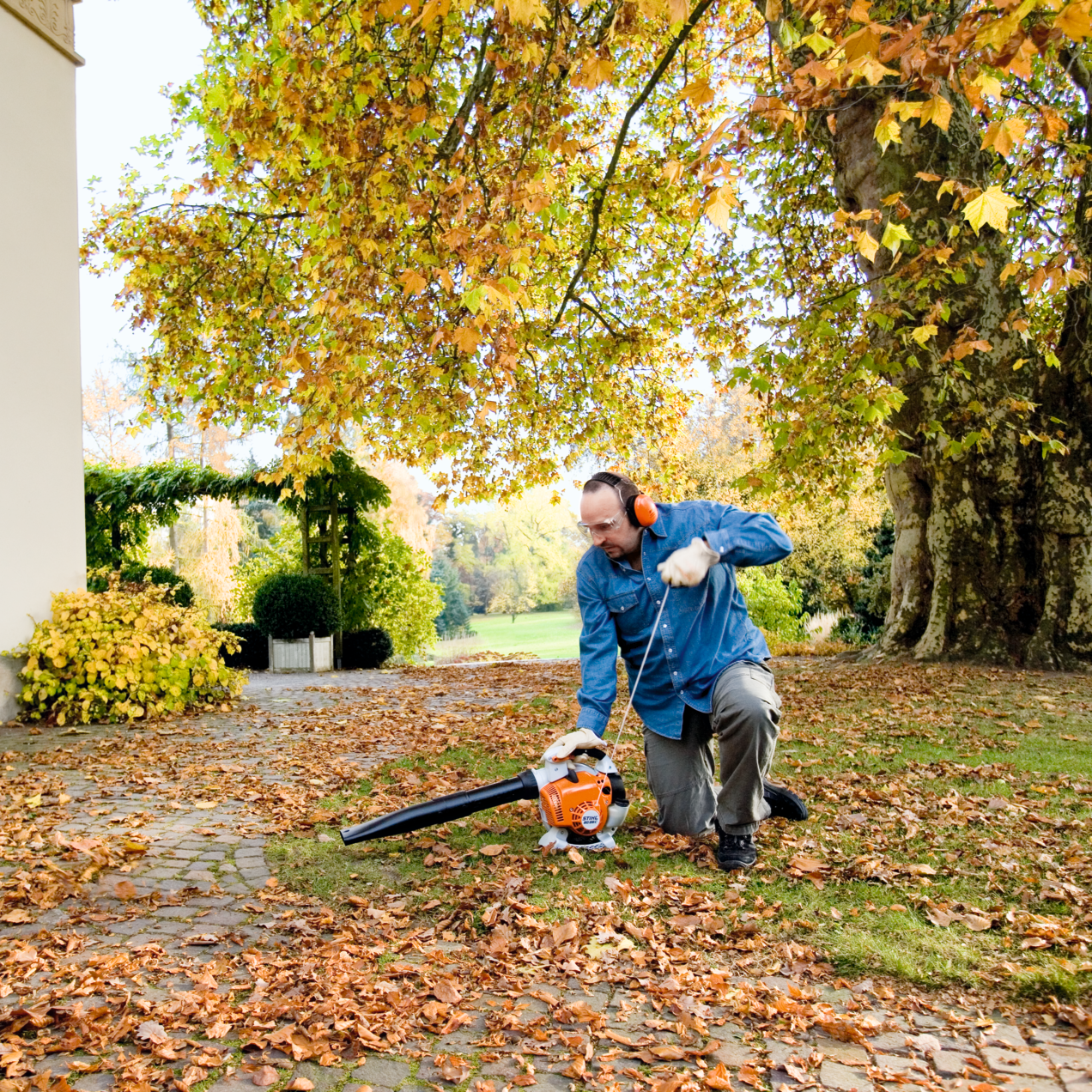 Stihl Benzin-Laubbläser BG 86 - Jetzt Stihl bei kaisers.jetzt