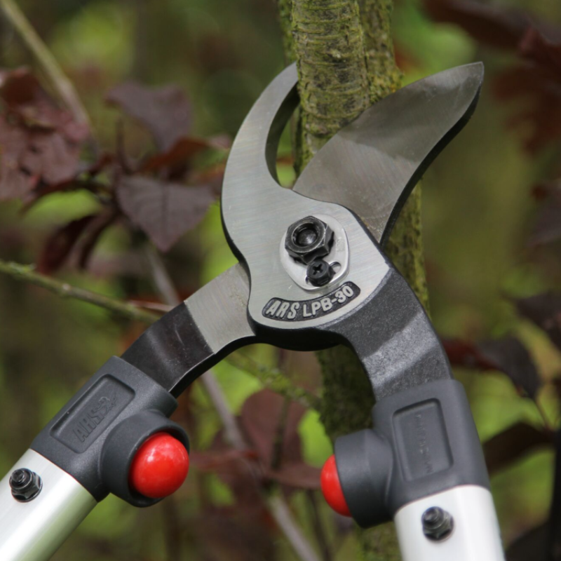 ARS LPB-30M Astschere