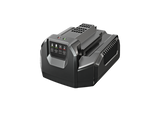 EGFE Standard-Ladegerät CH2100E inklusive BS-Adapter