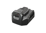 EGO Standard-Ladegerät CH2100E inklusive BS-Adapter