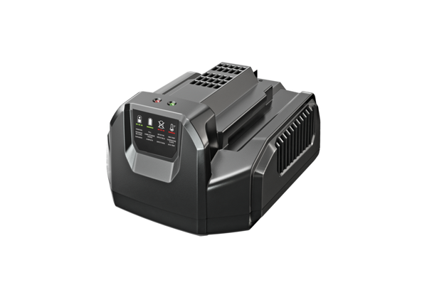 EGO Standard-Ladegerät CH2100E inklusive BS-Adapter